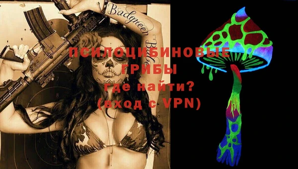 ешки Алзамай
