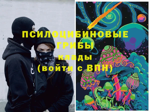 бутират Алексеевка